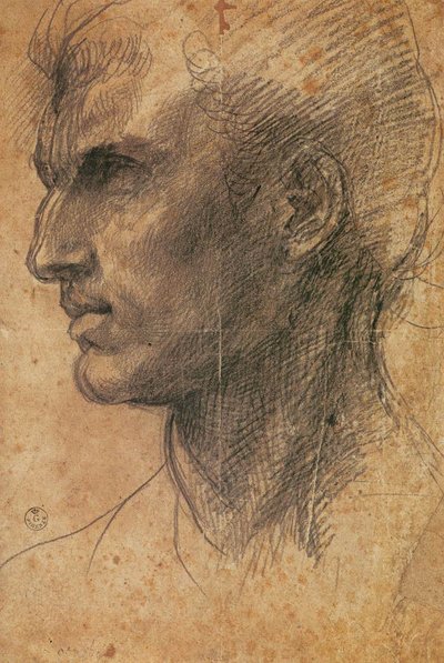 Testa di uomo di profilo rivolto a sinistra da Andrea del Sarto